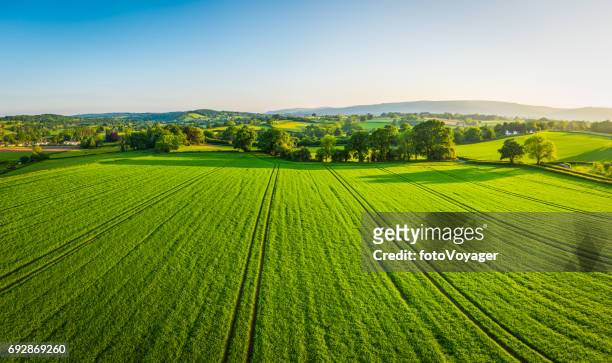 aerial panorama over healthy green crops in patchwork pasture farmland - agricultural field stock pictures, royalty-free photos & images