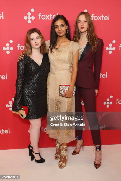 233 Ruby Lily Stock Photos, High-Res Pictures, and Images - Getty Images