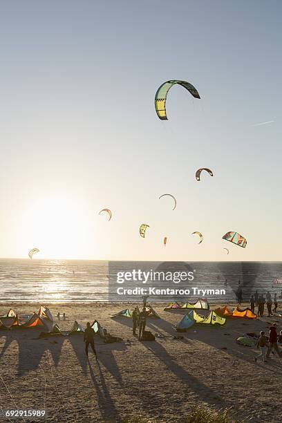 kiteboarders on beach against sky on sunny day - varberg stock pictures, royalty-free photos & images