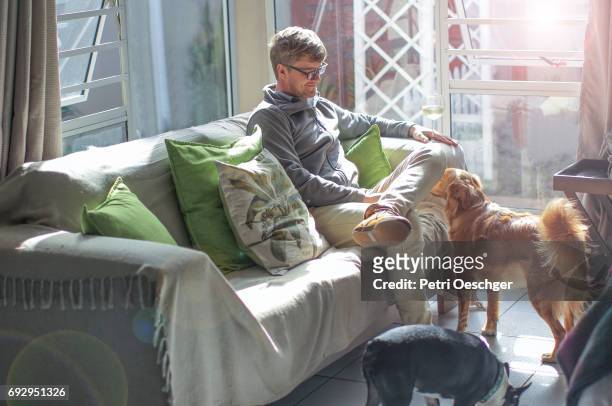 sunny days on the couch. - tall skinny blonde stock-fotos und bilder