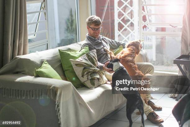 sunny days on the couch. - tall skinny blonde stock-fotos und bilder