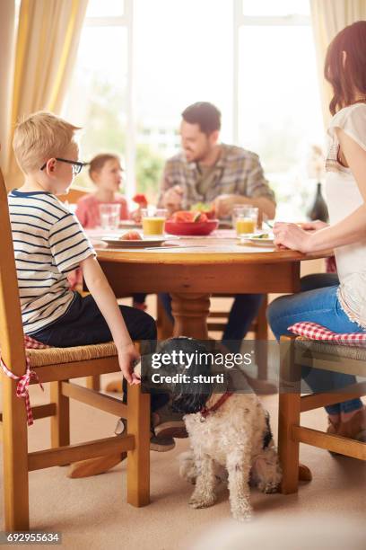 unwanted veg - dog eating a girl out stock pictures, royalty-free photos & images