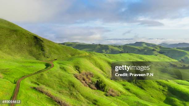 spring in green valley, paso robles - paso robles stockfoto's en -beelden