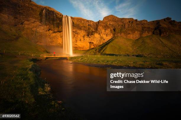 seljalandsfoss - midnight sun stock pictures, royalty-free photos & images