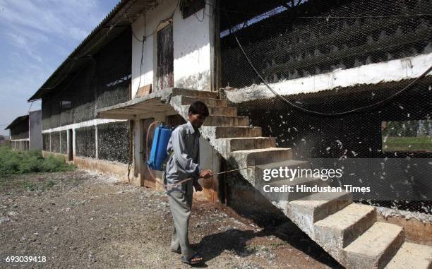 Bird Flu Worker sprays disinfectant at Swarup Singh Naik's 'Priyanka' poultry farm in Navapur, Nandurbar, North Maharashtra on Monday.