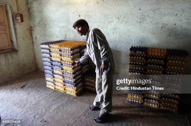 Bird Flu Eggs Caretaker points to crates eggs which are ready to be picked up at Swarup Singh Naik's 'Priyanka' poultry farm in Navapur, Nandurbar,...