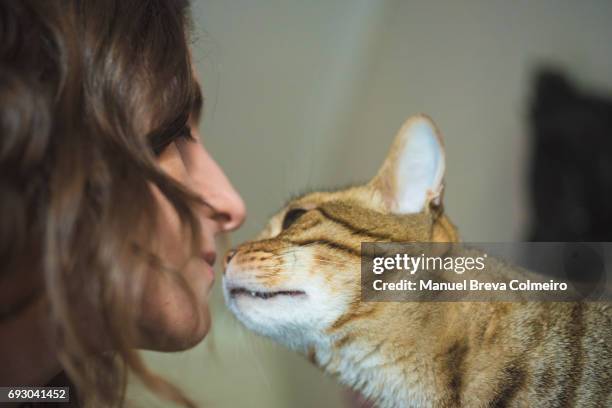 living with pets - lichaamsdeel van dieren stockfoto's en -beelden