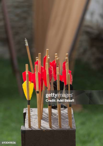 arrows - archery feather stockfoto's en -beelden