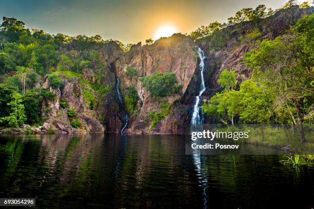 florence falls - northern territory stock pictures, royalty-free photos & images