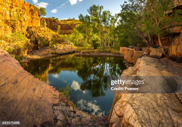 172 Zebedee Stock Photos, High-Res Pictures, and Images - Getty Images
