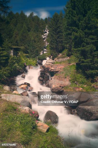 view of stream in martell valley, south tyrol, italy - martell valley italy stock pictures, royalty-free photos & images