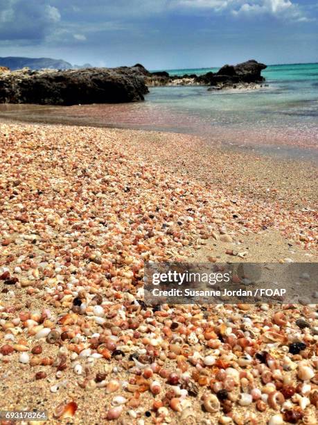 Shell Crete Ceiling 51 Shell Crete Stock Photos, High-Res Pictures, and Images - Getty Images