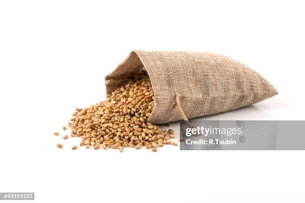 raw wheat grain in sack - lunch bag white background stock pictures, royalty-free photos & images