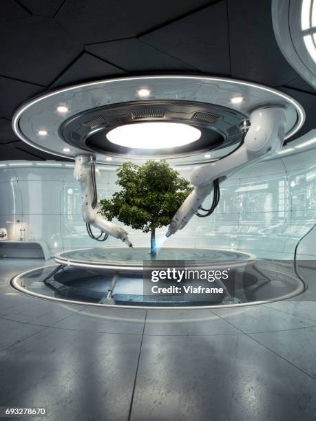 futurelab baum hoch - photosynthese stock-fotos und bilder