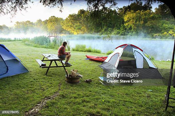 woman checking cellphone at campsite - picnic table stock pictures, royalty-free photos & images