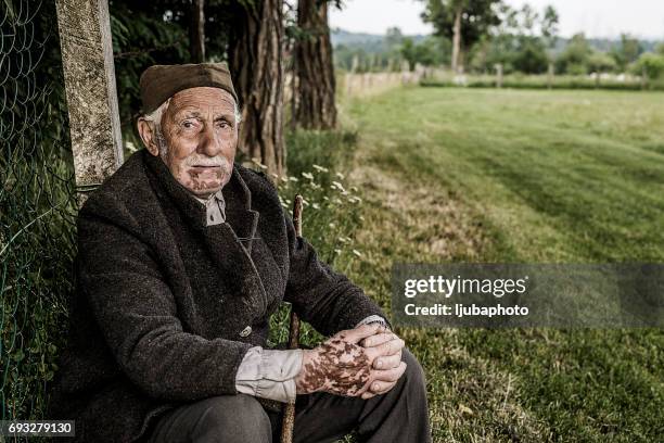 gevuld met hoop en positivisme, shepard in natuur groene weide - positivism stockfoto's en -beelden