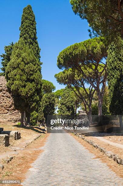 appian way, via appia, rome, italy - appian way stock pictures, royalty-free photos & images