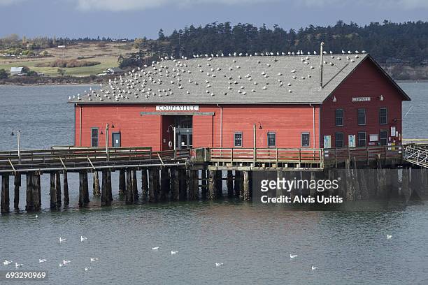 public coupeville wharf port of coupevill, wa. - coupeville stock pictures, royalty-free photos & images