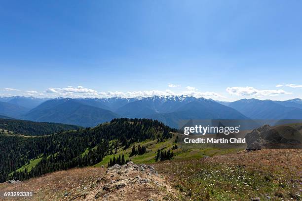 mount olympus in olympic national park - mount-olympus-olympic-national-park stock pictures, royalty-free photos & images