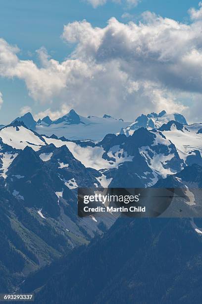 mount olympus in olympic national park - mount-olympus-olympic-national-park stock pictures, royalty-free photos & images