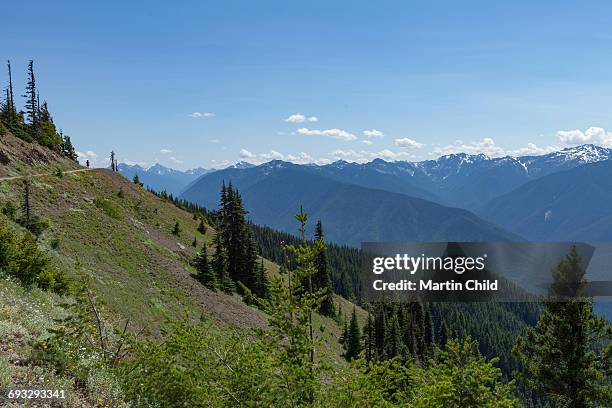 mount olympus in olympic national park - mount-olympus-olympic-national-park stock pictures, royalty-free photos & images