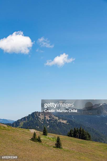 mount olympus in olympic national park - mount-olympus-olympic-national-park stock pictures, royalty-free photos & images