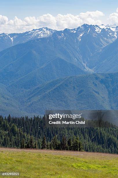 mount olympus in olympic national park - mount-olympus-olympic-national-park stock pictures, royalty-free photos & images