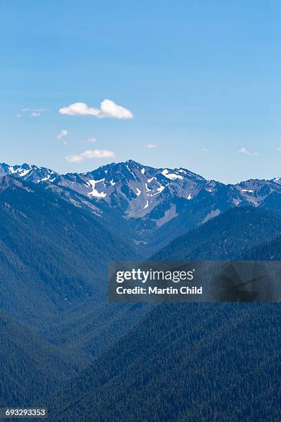 mount olympus in olympic national park - mount-olympus-olympic-national-park stock pictures, royalty-free photos & images