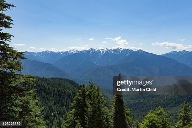 mount olympus in olympic national park - mount-olympus-olympic-national-park stock pictures, royalty-free photos & images
