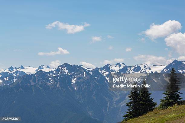 mount olympus in olympic national park - mount-olympus-olympic-national-park stock pictures, royalty-free photos & images