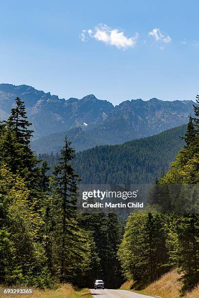 mount olympus in olympic national park - mount-olympus-olympic-national-park stock pictures, royalty-free photos & images