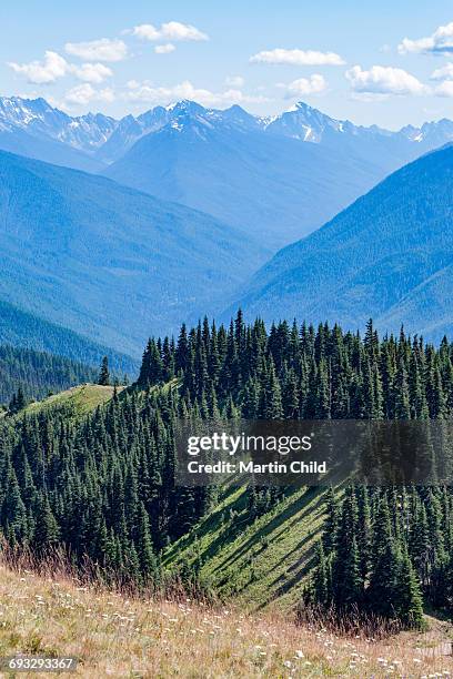 mount olympus in olympic national park - mount-olympus-olympic-national-park stock pictures, royalty-free photos & images