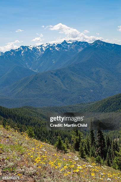 mount olympus in olympic national park - mount-olympus-olympic-national-park stock pictures, royalty-free photos & images