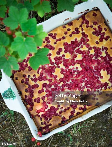 red currant cake - rode bes stockfoto's en -beelden