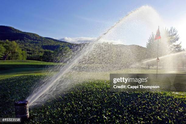 irrigation sprinkler - sistema rociador fotografías e imágenes de stock