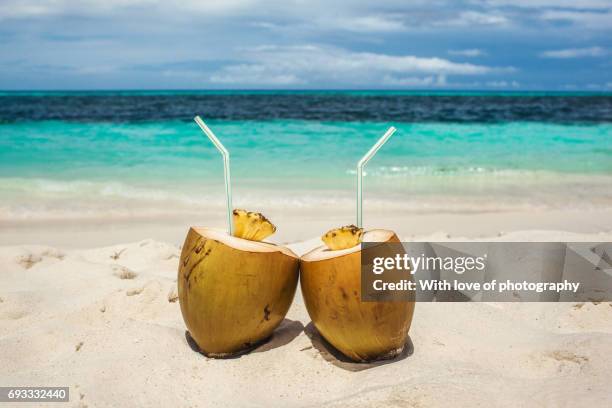 coconut drinks on beach in maldives, vacation in paradise, sunny day in topical island - coconut water stock pictures, royalty-free photos & images