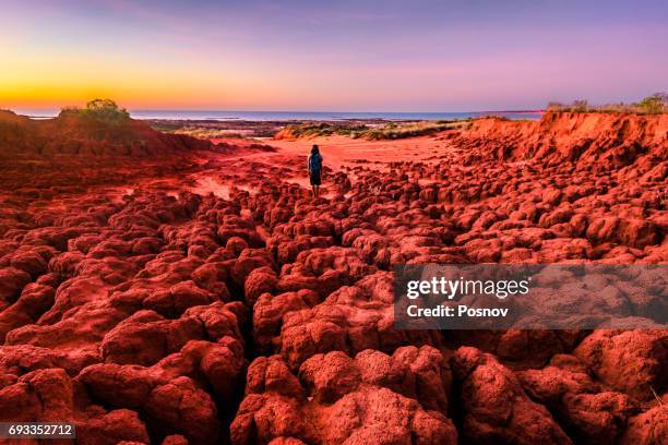 dampier peninsula - beach western australia bildbanksfoton och bilder