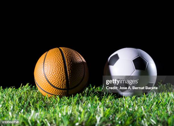 ball of soccer and basketball ball on a surface of grass of a soccer field - valencia basket photos et images de collection