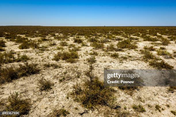 great sandy desert - great sandy desert stock-fotos und bilder