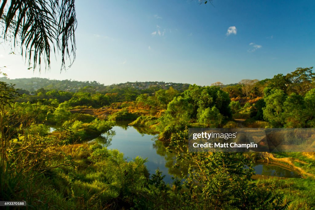 Jungle scenes near San Ignacio, Belize