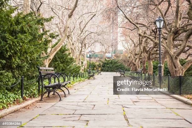 central park in autumn - new york state park stock pictures, royalty-free photos & images