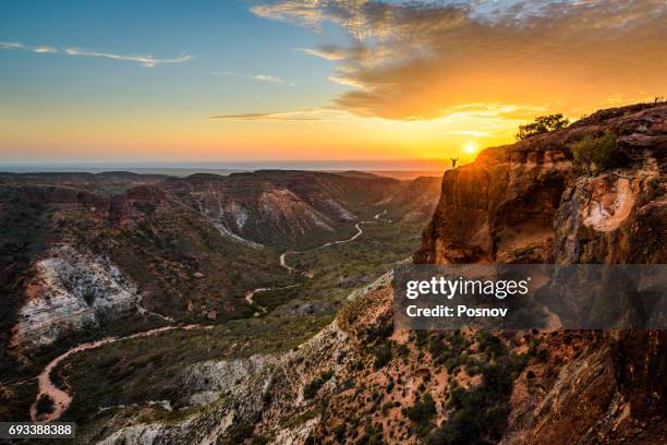 charles knife canyon - bush stockfoto's en -beelden