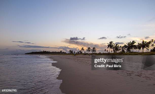 brazil - local landscape & streets - maceió stock pictures, royalty-free photos & images