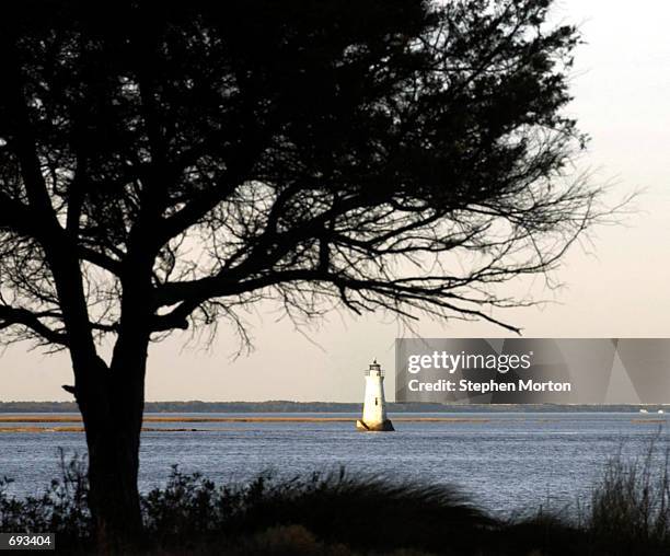 The historic Savannah lighthouse stands near the beach front home of Sandra Bullock January 11, 2002 on Tybee Island, Georgia. Bullock bought the...