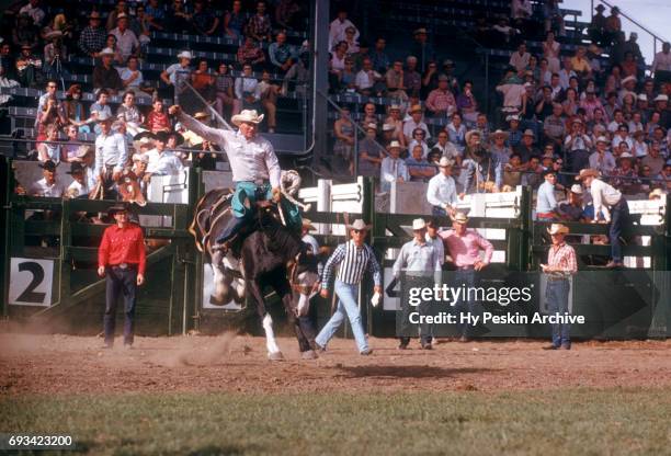 Bronco Riding Timer Bronco Fan Photos and Premium High Res Pictures - Getty Images