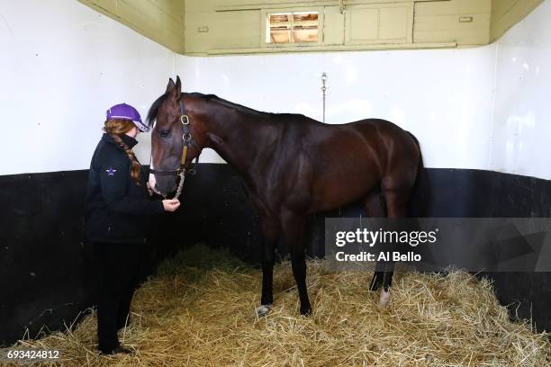 Assistant Trainer Sarah Campion stands with Belmont Stakes contender Classic Empire who scratched from the race after an abscess was discovered on...