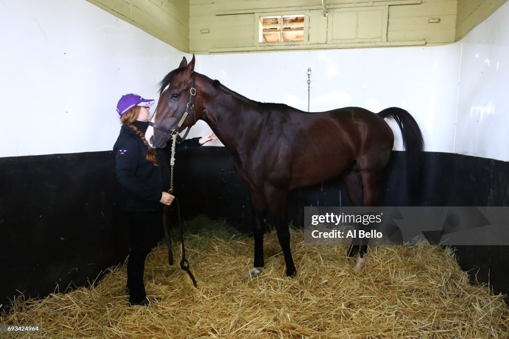 149th Belmont Stakes - Previews