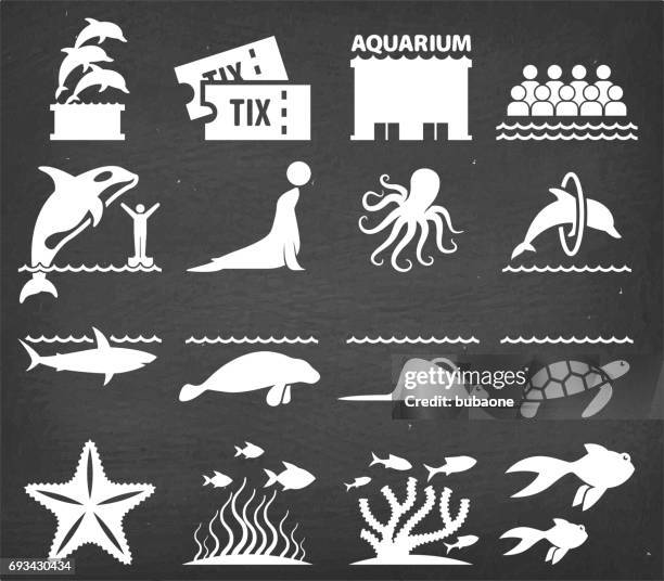 stockillustraties, clipart, cartoons en iconen met aquarium vector icons set op zwarte schoolbord - sea lion