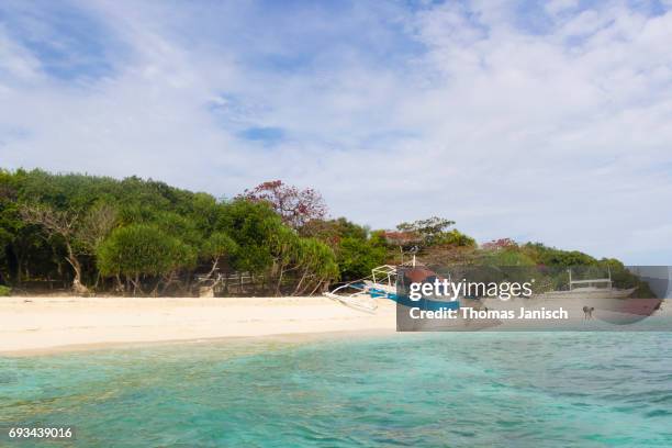 beach of balicasag island - bohol stock pictures, royalty-free photos & images