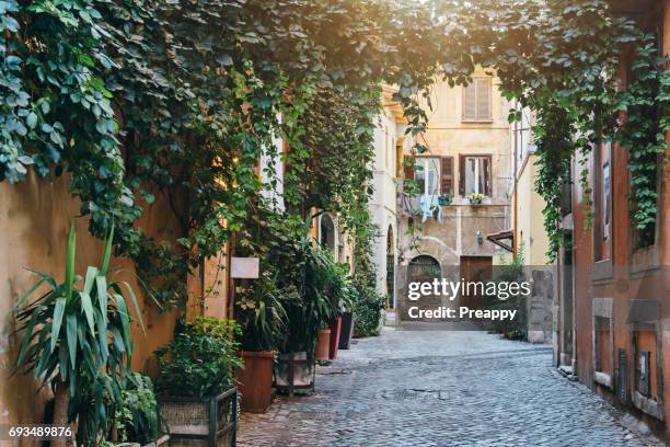 trastevere neighbourhood in rome - alley fotografías e imágenes de stock